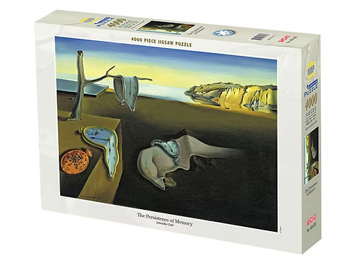 The Persistence of Memory